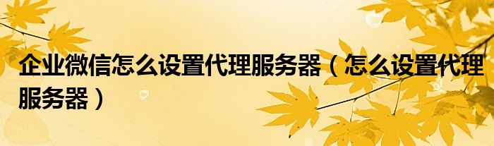 企業(yè)微信怎么設(shè)置代理服務(wù)器（怎么設(shè)置代理服務(wù)器）