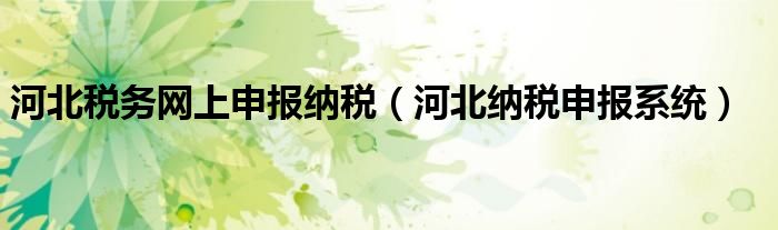 河北稅務(wù)網(wǎng)上申報納稅（河北納稅申報系統(tǒng)）