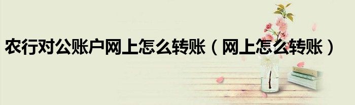 農(nóng)行對公賬戶網(wǎng)上怎么轉(zhuǎn)賬（網(wǎng)上怎么轉(zhuǎn)賬）