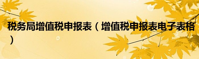 稅務(wù)局增值稅申報(bào)表（增值稅申報(bào)表電子表格）