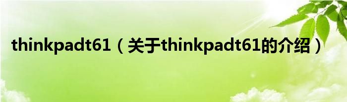 thinkpadt61（關(guān)于thinkpadt61的介紹）