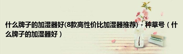 什么牌子的加濕器好(8款高性價比加濕器推薦) - 種草號（什么牌子的加濕器好）