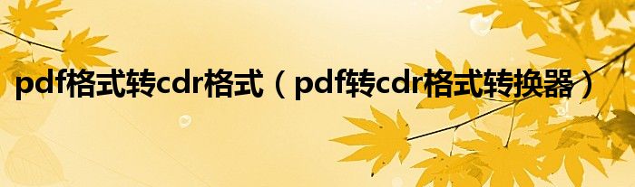 pdf格式轉cdr格式（pdf轉cdr格式轉換器）