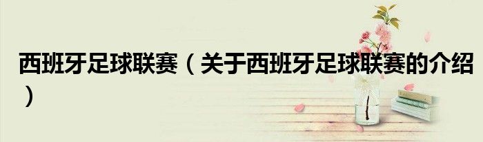 西班牙足球聯(lián)賽（關(guān)于西班牙足球聯(lián)賽的介紹）