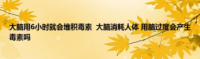 大腦用6小時(shí)就會(huì)堆積毒素 大腦消耗人體 用腦過(guò)度會(huì)產(chǎn)生毒素嗎