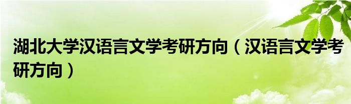 湖北大學(xué)漢語言文學(xué)考研方向（漢語言文學(xué)考研方向）