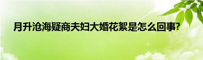 月升滄海疑商夫婦大婚花絮是怎么回事?