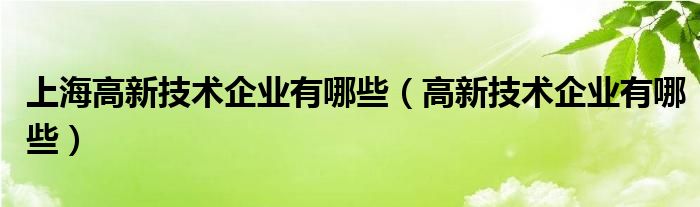上海高新技術(shù)企業(yè)有哪些（高新技術(shù)企業(yè)有哪些）