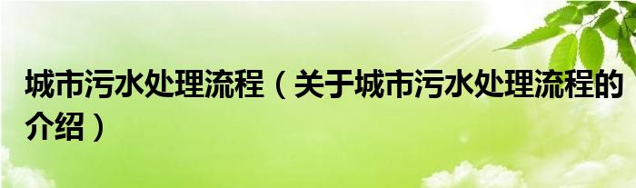 城市污水處理流程（關(guān)于城市污水處理流程的介紹）