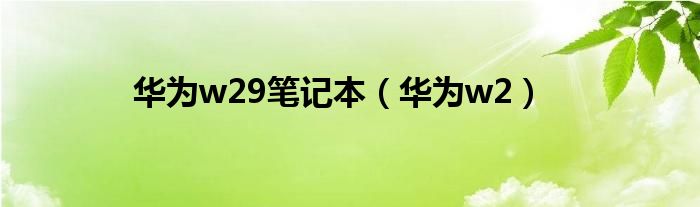 華為w29筆記本（華為w2）