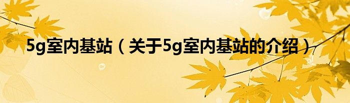 5g室內(nèi)基站（關(guān)于5g室內(nèi)基站的介紹）