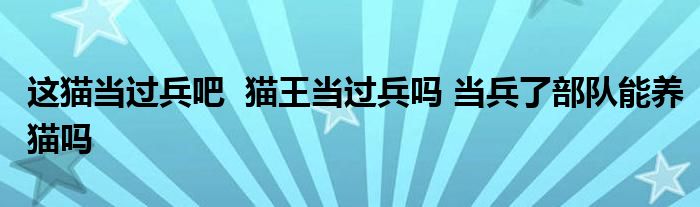 這貓當(dāng)過兵吧 貓王當(dāng)過兵嗎 當(dāng)兵了部隊(duì)能養(yǎng)貓嗎