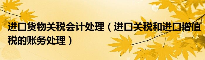 進(jìn)口貨物關(guān)稅會(huì)計(jì)處理（進(jìn)口關(guān)稅和進(jìn)口增值稅的賬務(wù)處理）