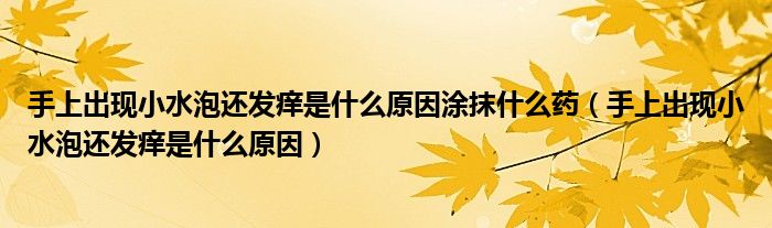 手上出現(xiàn)小水泡還發(fā)癢是什么原因涂抹什么藥（手上出現(xiàn)小水泡還發(fā)癢是什么原因）