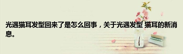光遇貓耳發(fā)型回來了是怎么回事，關(guān)于光遇發(fā)型 貓耳的新消息。