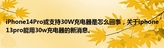 iPhone14Pro或支持30W充電器是怎么回事，關(guān)于iphone13pro能用30w充電器的新消息。