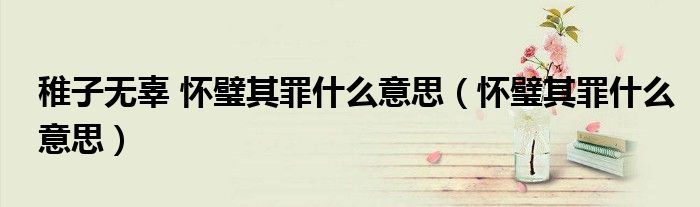 稚子無辜 懷璧其罪什么意思（懷璧其罪什么意思）