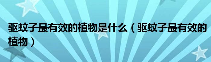 驅(qū)蚊子最有效的植物是什么（驅(qū)蚊子最有效的植物）