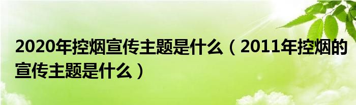 2020年控?zé)熜麄髦黝}是什么（2011年控?zé)煹男麄髦黝}是什么）