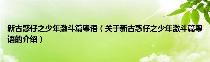 新古惑仔之少年激斗篇粵語（關(guān)于新古惑仔之少年激斗篇粵語的介紹）