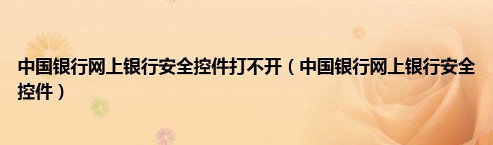 中國(guó)銀行網(wǎng)上銀行安全控件打不開(kāi)（中國(guó)銀行網(wǎng)上銀行安全控件）