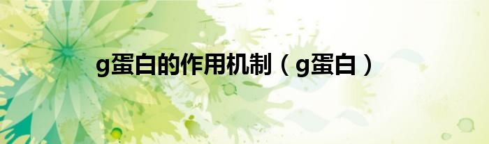 g蛋白的作用機制（g蛋白）
