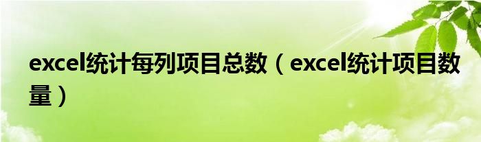 excel統(tǒng)計每列項目總數(shù)（excel統(tǒng)計項目數(shù)量）