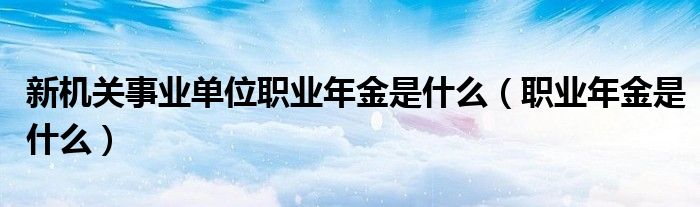 新機關事業(yè)單位職業(yè)年金是什么（職業(yè)年金是什么）