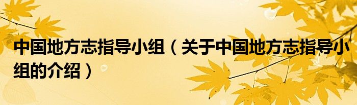 中國(guó)地方志指導(dǎo)小組（關(guān)于中國(guó)地方志指導(dǎo)小組的介紹）