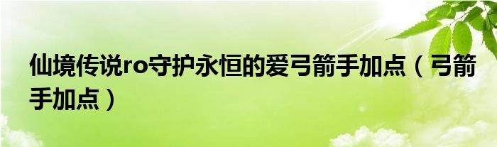 仙境傳說ro守護(hù)永恒的愛弓箭手加點(diǎn)（弓箭手加點(diǎn)）