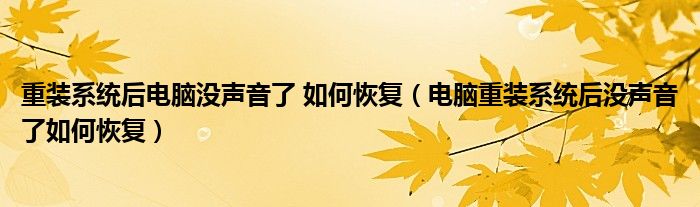 重裝系統(tǒng)后電腦沒聲音了 如何恢復（電腦重裝系統(tǒng)后沒聲音了如何恢復）