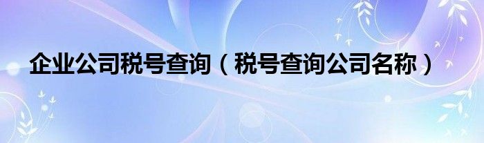 企業(yè)公司稅號(hào)查詢（稅號(hào)查詢公司名稱）