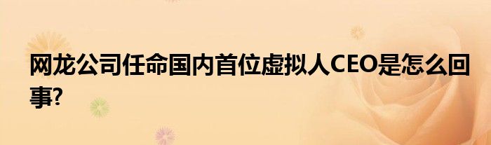 網(wǎng)龍公司任命國(guó)內(nèi)首位虛擬人CEO是怎么回事?
