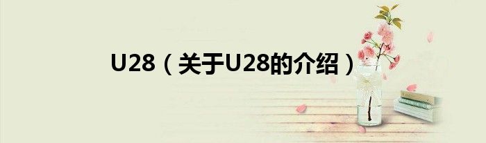 U28（關(guān)于U28的介紹）
