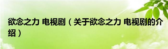 欲念之力 電視?。P(guān)于欲念之力 電視劇的介紹）