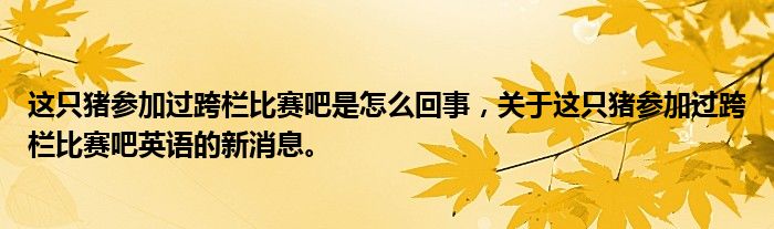 這只豬參加過跨欄比賽吧是怎么回事，關(guān)于這只豬參加過跨欄比賽吧英語的新消息。