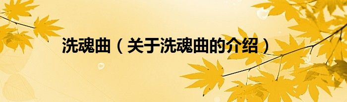 洗魂曲（關(guān)于洗魂曲的介紹）
