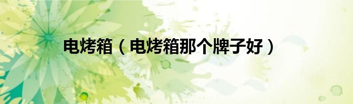 電烤箱（電烤箱那個(gè)牌子好）