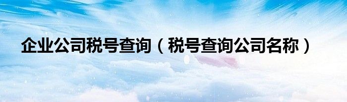 企業(yè)公司稅號查詢（稅號查詢公司名稱）