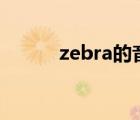 zebra的音標(biāo)怎么寫（Z的音標(biāo)）