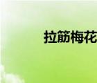 拉筋梅花形布置計算（板拉筋）