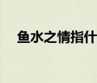 魚(yú)水之情指什么（魚(yú)水之情是什么意思）