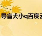 導盲犬小q百度云中字（導盲犬小q迅雷下載）
