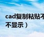 cad復(fù)制粘貼不顯示 替換字體（cad復(fù)制粘貼不顯示）
