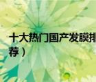 十大熱門國產(chǎn)發(fā)膜排行榜（精選10款經(jīng)典好用的國產(chǎn)發(fā)膜推薦）