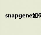 snapgene如何設(shè)計(jì)引物（如何設(shè)計(jì)引物）