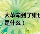 大革命到了維也納貝多芬的心愿是什么（心愿是什么）