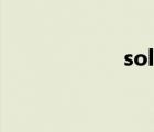 soler技術(shù)（soler）