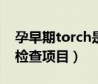 孕早期torch是什么檢查項(xiàng)目（torch是什么檢查項(xiàng)目）