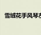 雪絨花手風琴左手指法（手風琴左手指法）